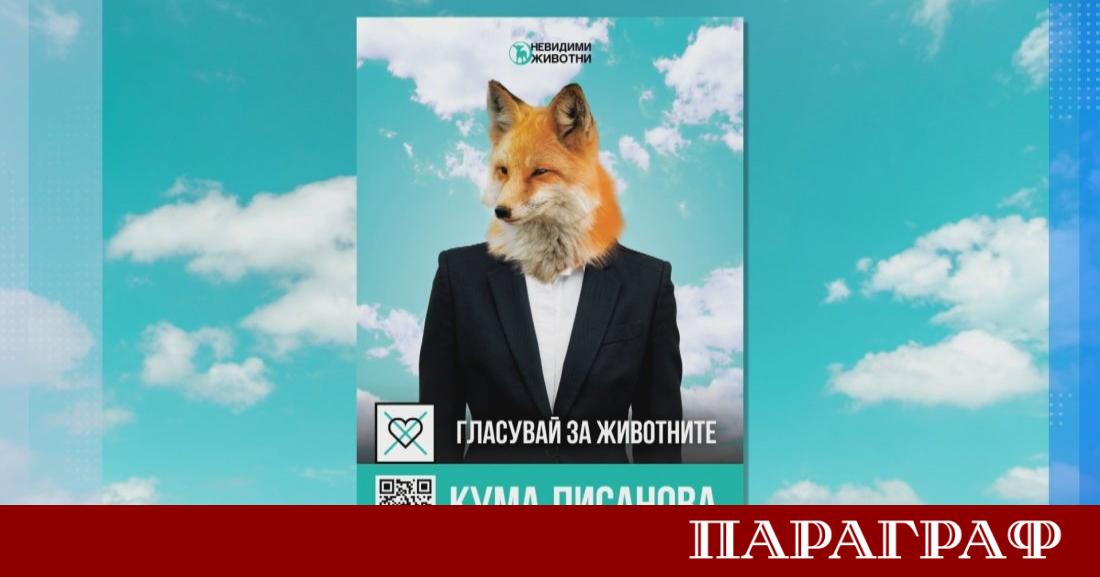 Десет организации за защита на животните в България се обединяват