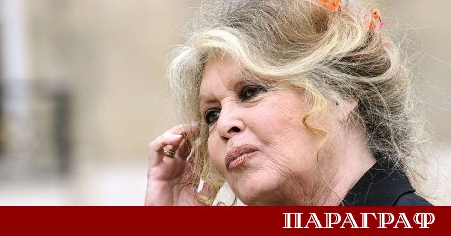 Рядък портрет на легендарната френска актриса Брижит Бардо се подготвя