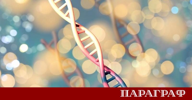 Стартъп компании в САЩ вече предлагат на бъдещите родители възможност