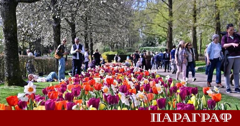 Пролетта официално настъпи в една от най забележителните цветни градини на