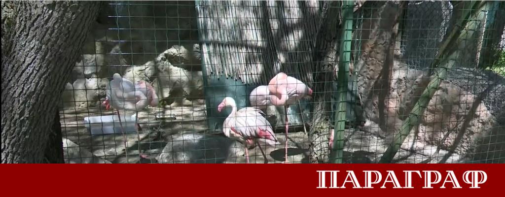 Софийската зоологическа градина се включва активно в отбелязването на Световния