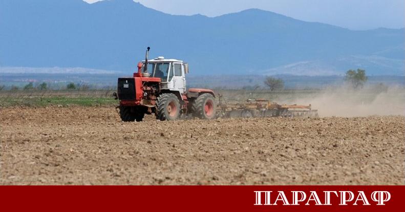 Правителството често определя делничен понеделник за почивен ден по административен