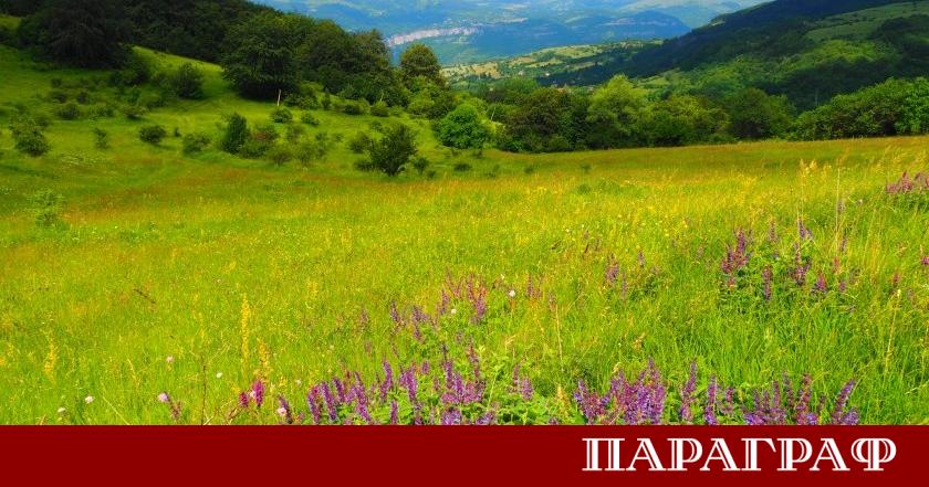 Днес в страната се очаква изключително динамично време с валежи