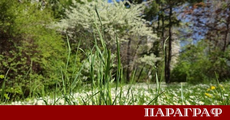 Месец май ще предложи изключително динамично време с резки температурни