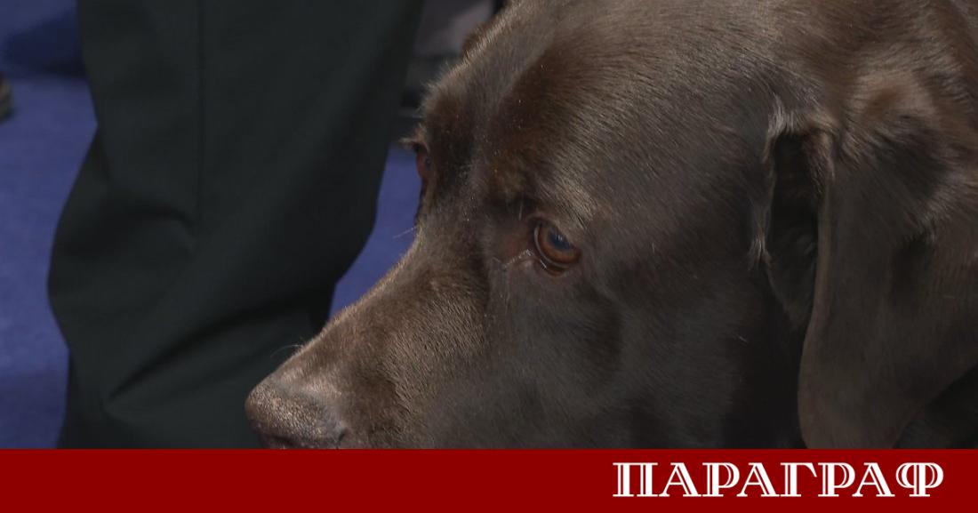 Лабрадорът Роувър официално започна своята работа в 52 рото Народно събрание