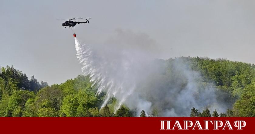 Пожарът в Национален парк Бохемска Швейцария в Чехия обхвана площ