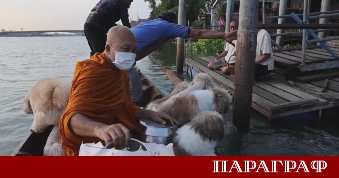 Будистки монах в Тайланд се превърна в истинска сензация заради