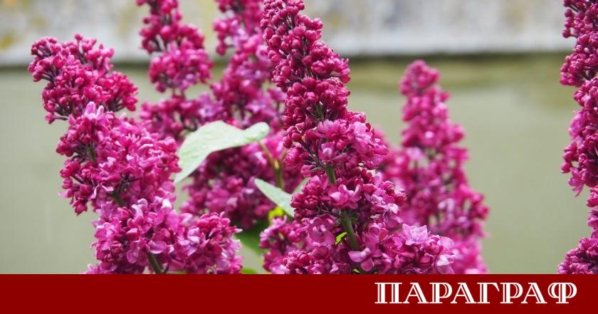 Четвъртък ще предложи на жителите и гостите на България динамично