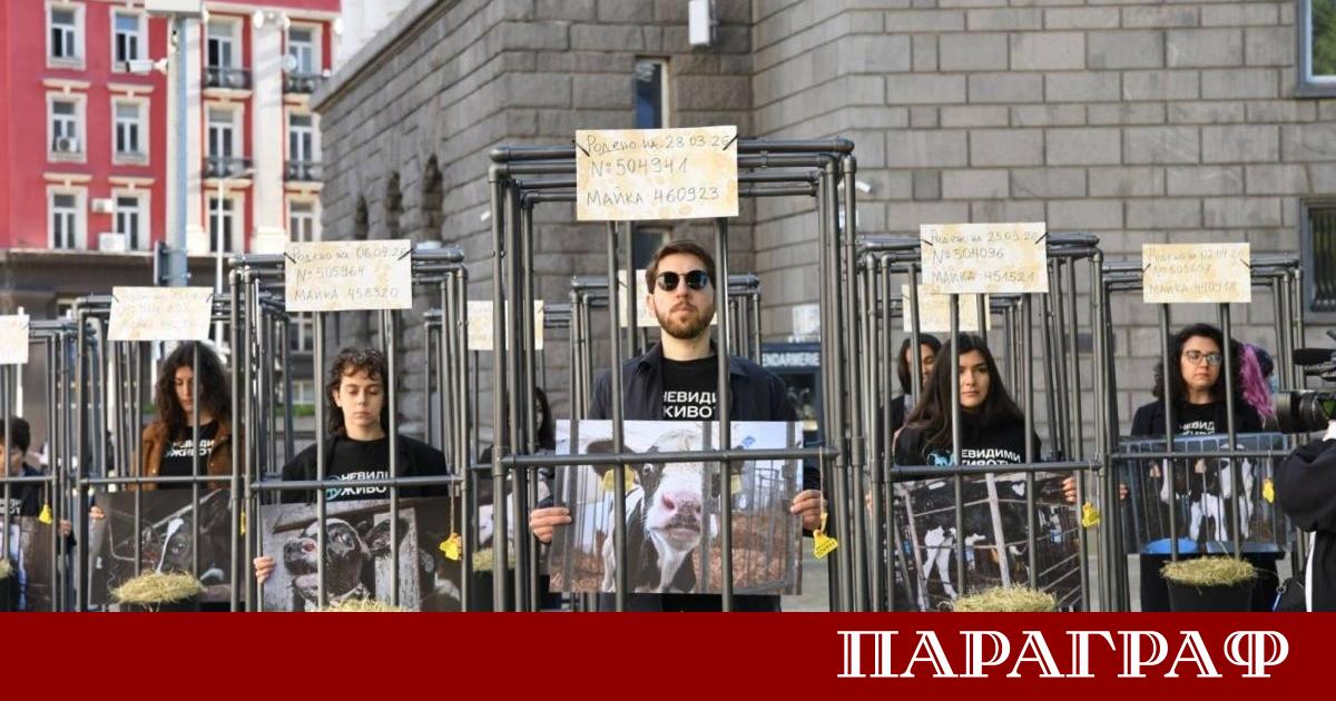 Представители на сдружение Невидими животни организираха мащабен протест пред сградата