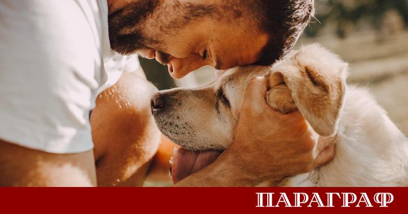 Болница Метакса в Пирея област Атика официално посрещна Дилан Това
