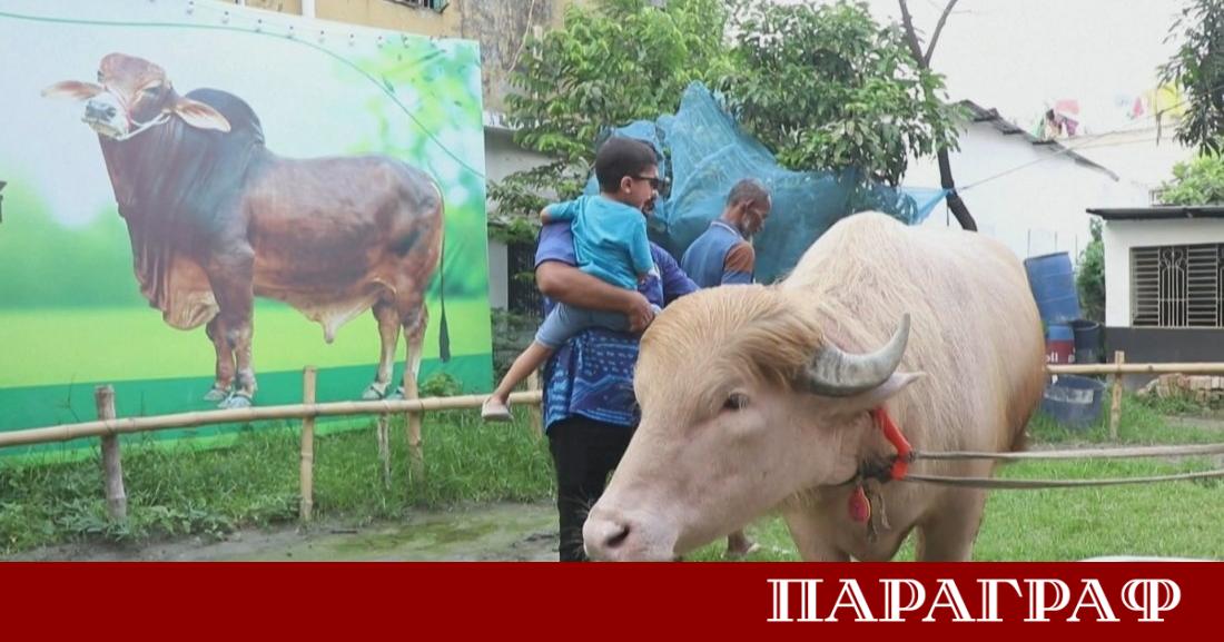 Рядко животно албинос станало известно с името на американски президент