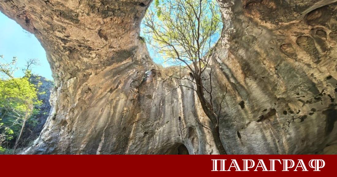 Пещерата с дървото известна още като Голямата ниша и Водната