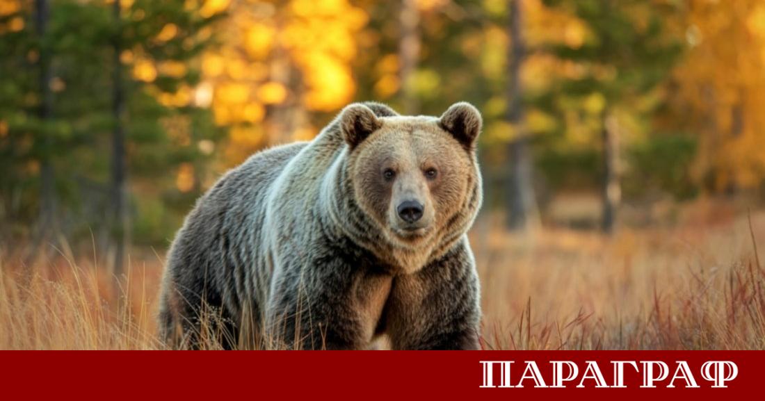 Жителите на селата Бистрица Горно Хърсово и Марулево изразяват сериозна