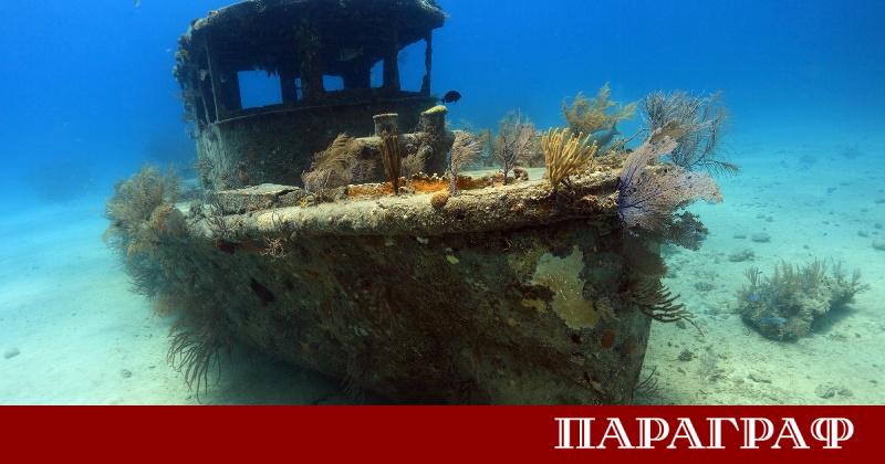 Норвежки археолози определиха като истинска сензация откриването на плавателен съд