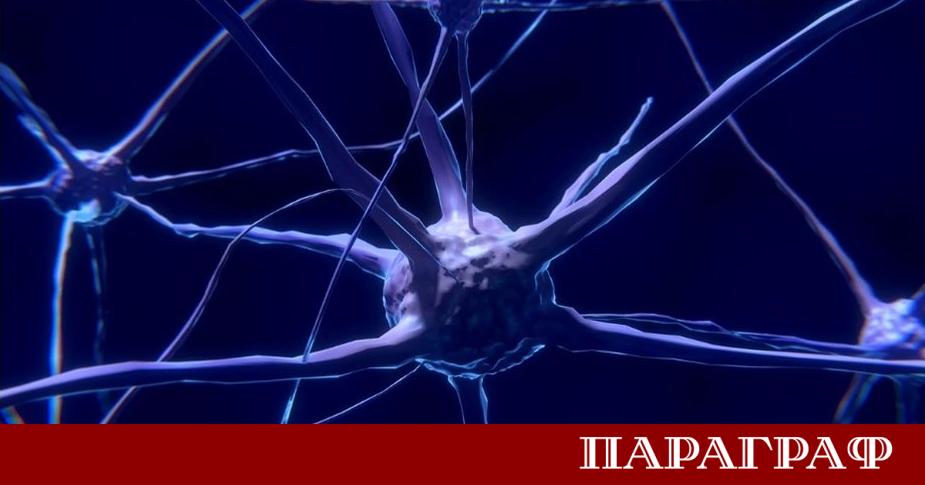 Замърсяването на въздуха отдавна е познато като заплаха за белите