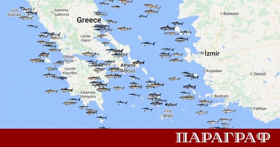 Гръцки специалисти и морски биолози представиха нова карта на районите