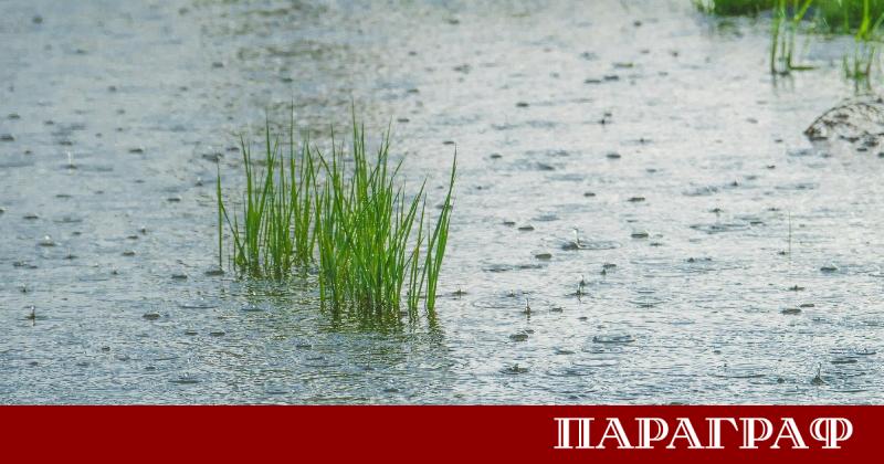 Националният институт по метеорология и хидрология НИМХ обяви официално жълт