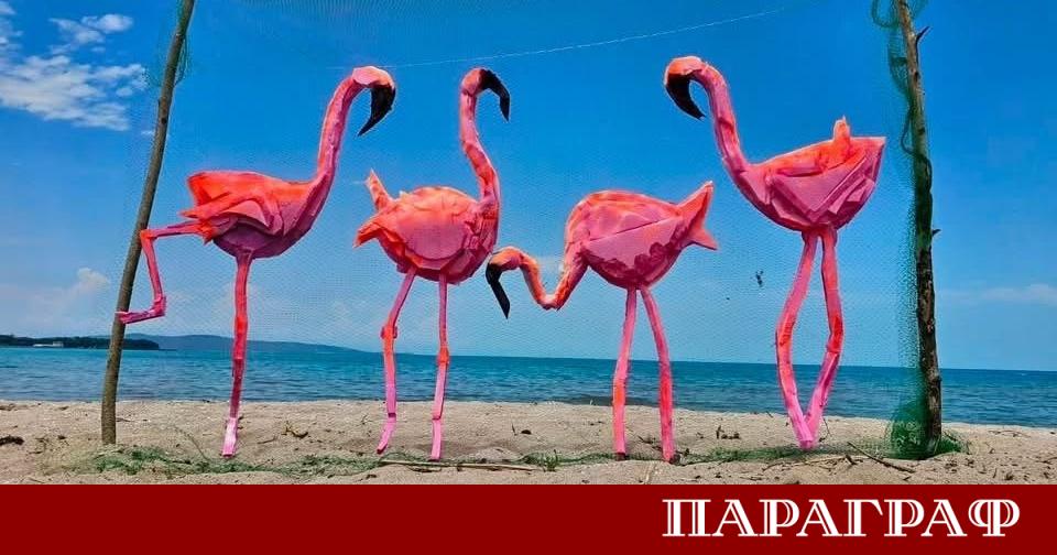 Плажът за природосъобразен туризъм Корал приема нова роля на артистично