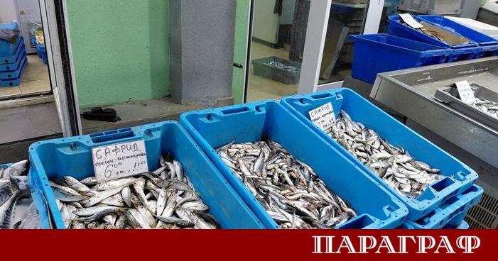 Началото на тазгодишното лято поднася поредица от природни изненади по