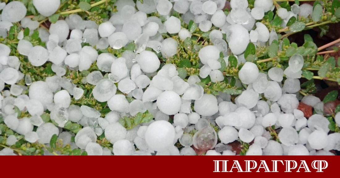 Мощна градушка унищожи голяма част от реколтата в землищата на