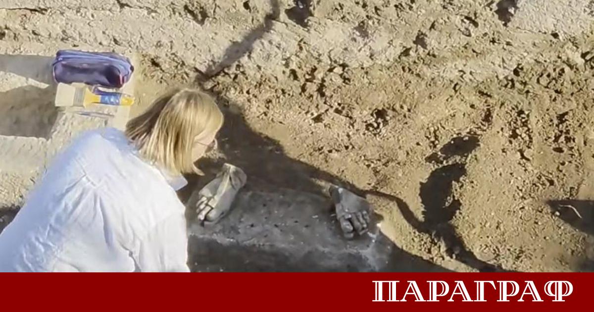 Археологическият сезон в античния град Хераклея Синтика край Петрич продължава