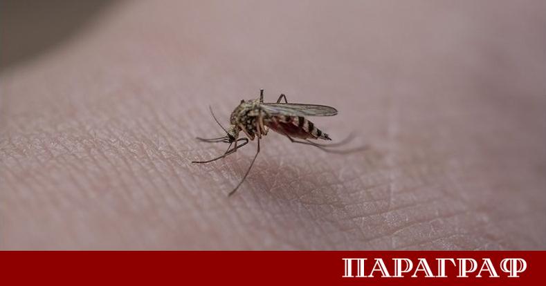 Днес 10 юни Община Монтана поставя началото на първата за