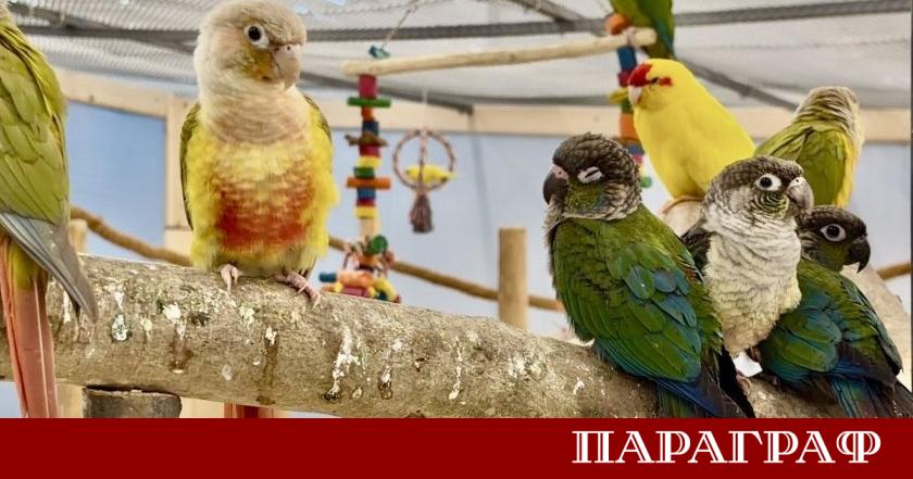Бургас отново се превръща в център за екзотични преживявания през