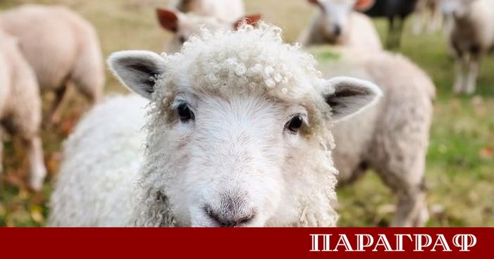 Гръцкото Министерство на земеделието и храните стартира мащабна дигитална реформа