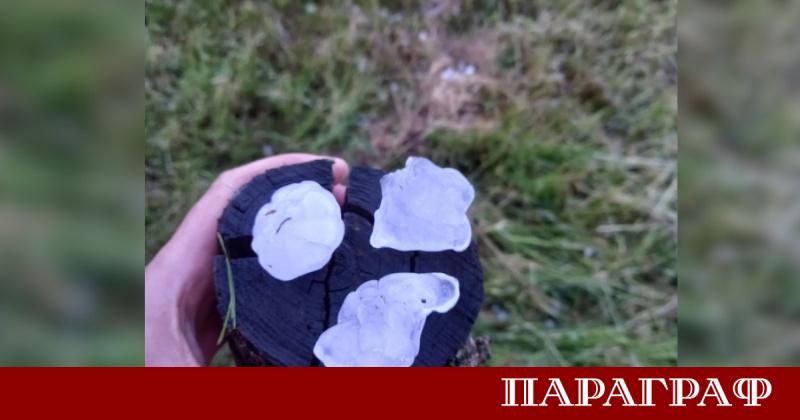 Силна градушка с големина на орех връхлетя област Монтана през
