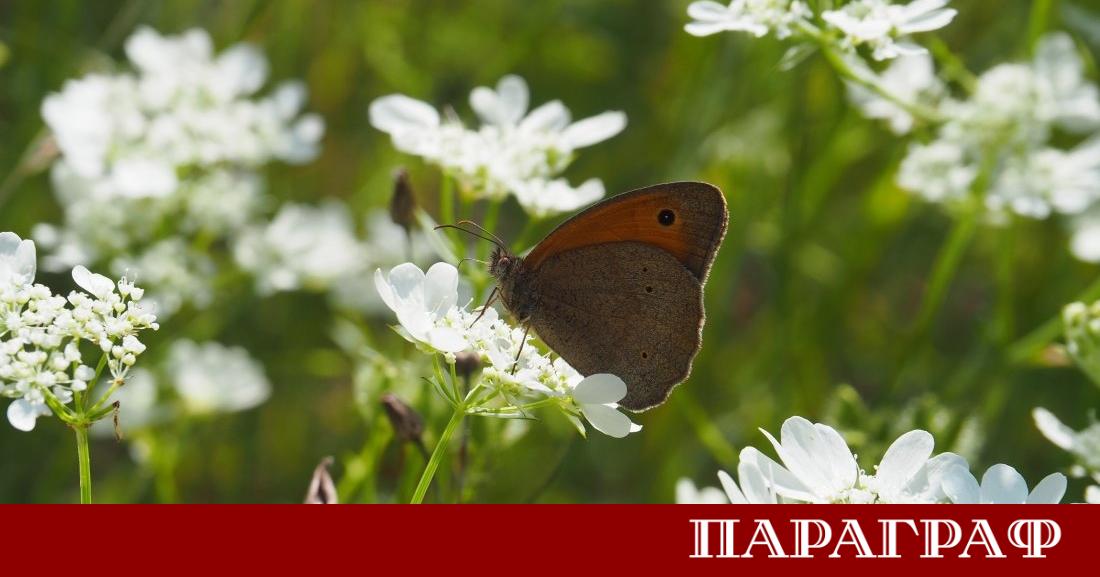 Времето утре ще бъде предимно слънчево в по голямата част