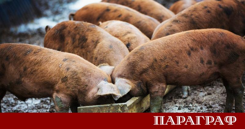 Министерството на земеделието горите и рибарството на Хърватия въведе строги