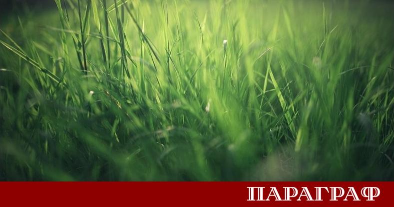 Времето на 14 юни ще предложи предимно слънчеви часове на