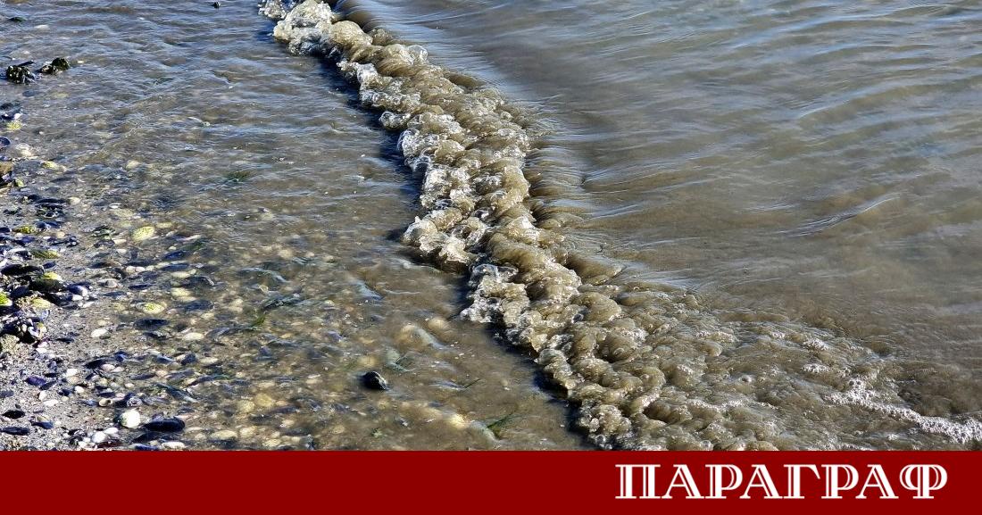 Служители на Басейнова дирекция и регионалната екоинспекция във Варна извършиха