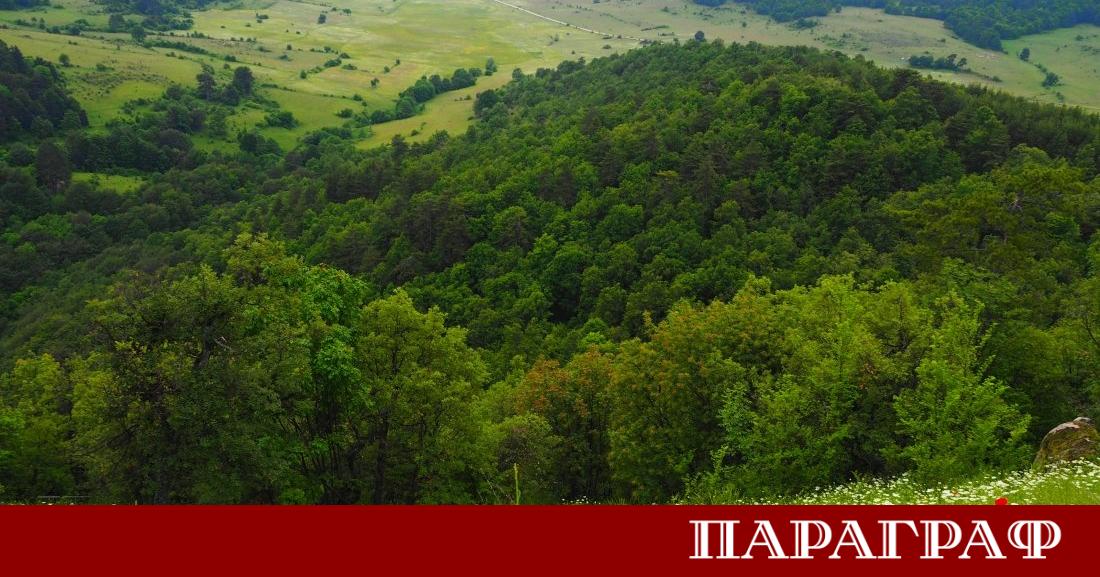 В по голямата част от страната днес следобед времето ще