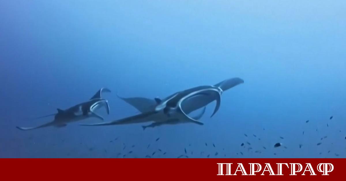 Остров Окинава се утвърждава като една от най значимите локации