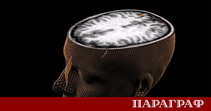 Международен екип от изследователи постигна значителен пробив в разбирането на