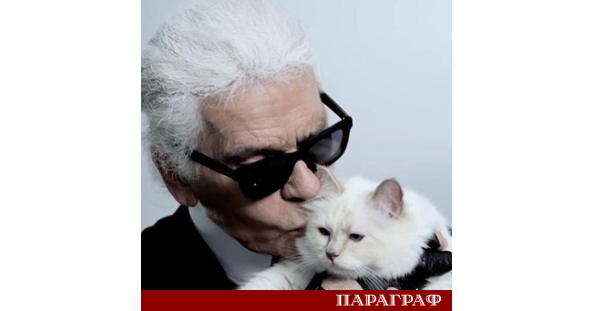 Шупет продължава да живее в лукс но ситуацията около наследството