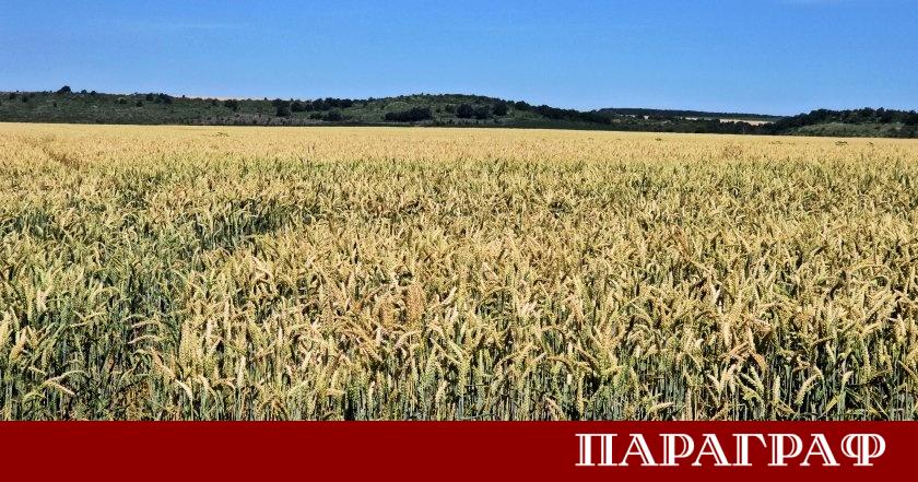 България навлиза в период на постепенно и трайно затопляне през
