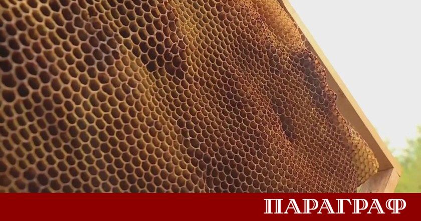 Държавен фонд Земеделие ДФЗ откри приема на заявления за кредитиране