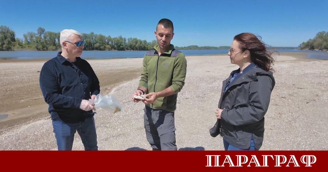 Българската национална телевизия и румънската обществена телевизия TVR обединяват усилия