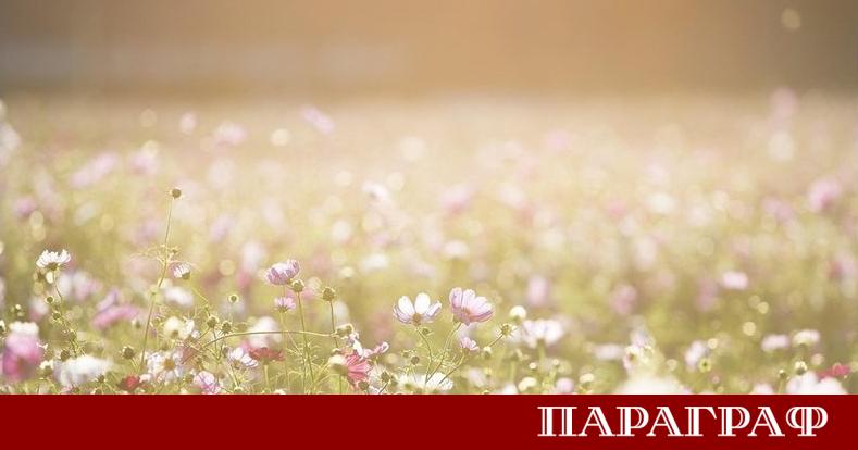 На 20 юни времето в страната ще бъде предимно слънчево