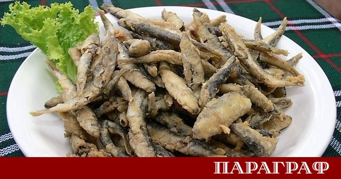 Цените по Българското Черноморие отново станаха гореща тема в началото