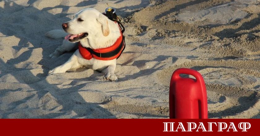 На Рибарското пристанище в град Бяла се проведе мащабна демонстрация