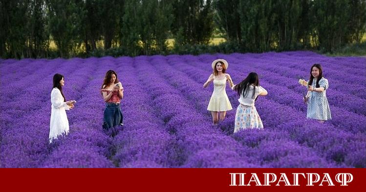 Летният моден пазар през 2026 година демонстрира ясна промяна в