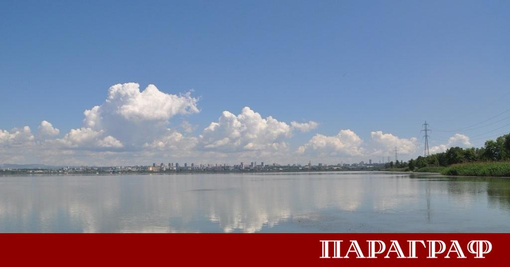 Община Бургас предприема решителни стъпки за справяне с популацията на