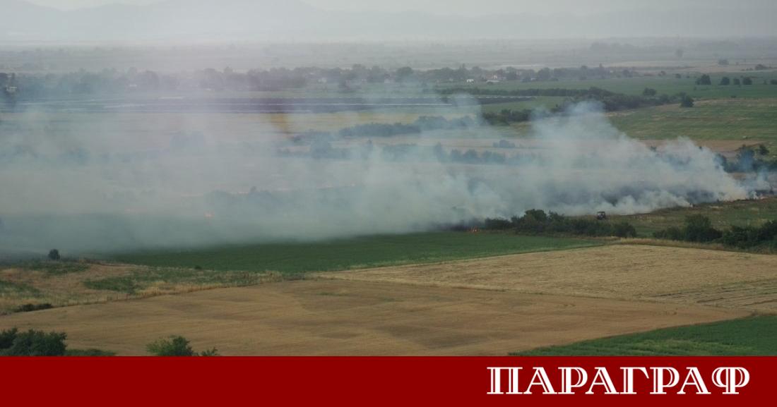 Голям пожар се разрази този следобед в землището на пловдивското