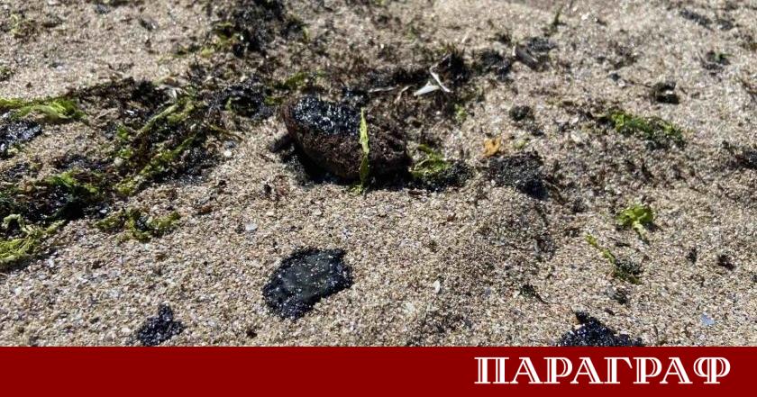 Над 40 сигнала за мазут постъпиха в екоинспекцията в Бургас