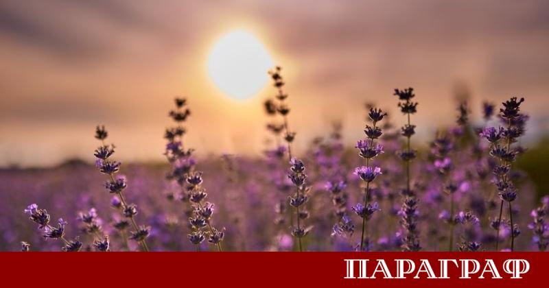 Настъпването на големите жеги във Франция сигнализира на производителите на