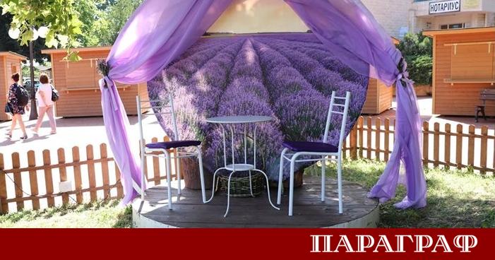 Дванадесетото издание на Националния фестивал на лавандулата започва днес в