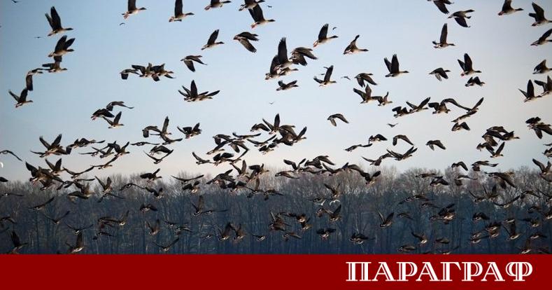 Европа преминава през период на интензивни климатични аномалии Високите температури